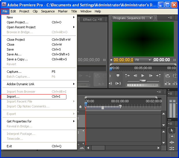 Import Flash SWF Files into Premiere Pro CS4